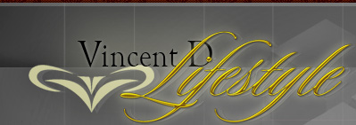 Vincent D LifeStyle Logo